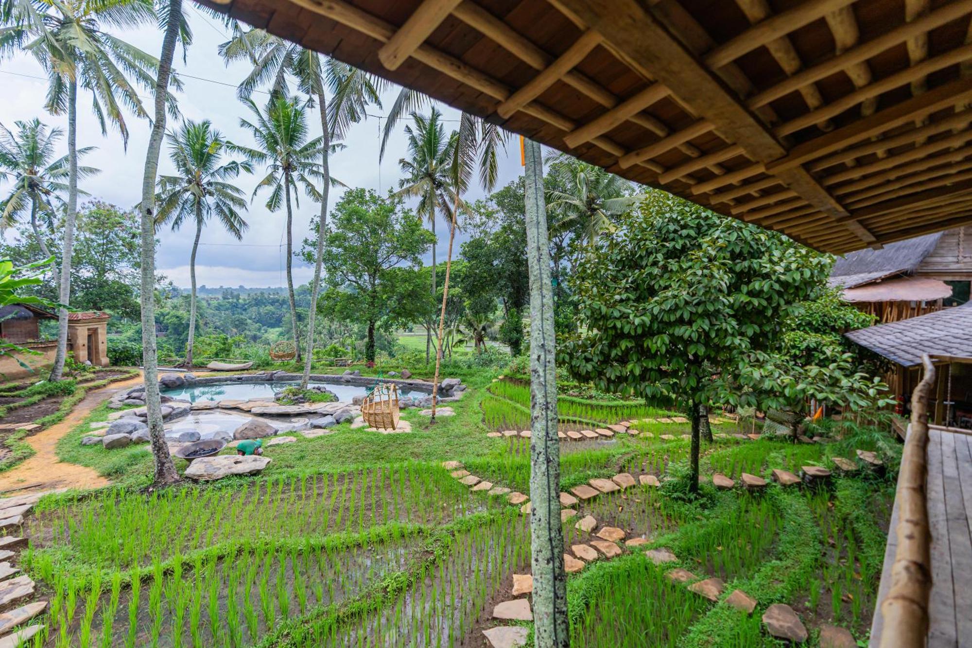 Bambu Indah Resort Убуд Екстериор снимка
