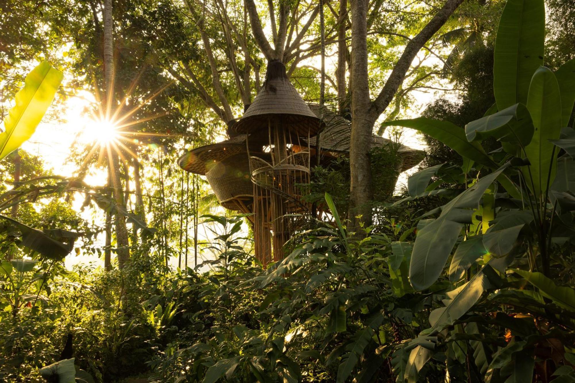 Bambu Indah Resort Убуд Екстериор снимка