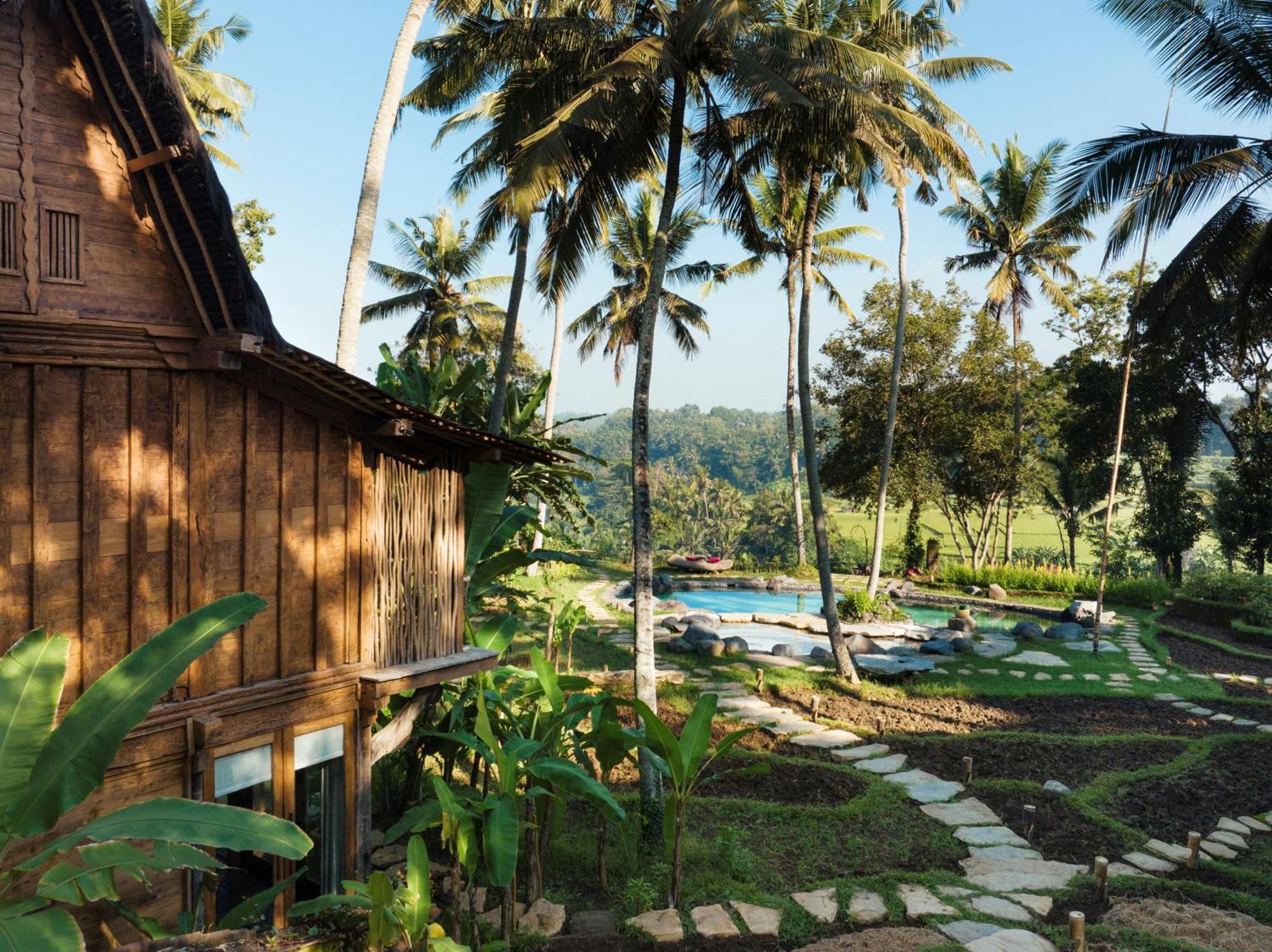 Bambu Indah Resort Убуд Екстериор снимка